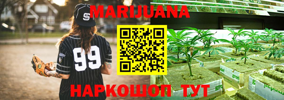 Каннабис OG Kush Бийск